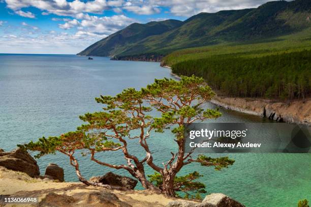 baikalsommer - baikal stock-fotos und bilder