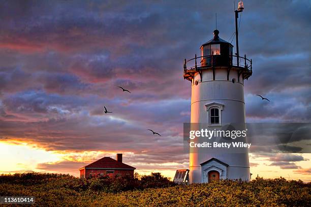 race point lighthouse - provincetown massachusetts stock pictures, royalty-free photos & images