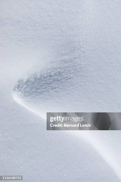 windswept snow - cumulo di neve foto e immagini stock