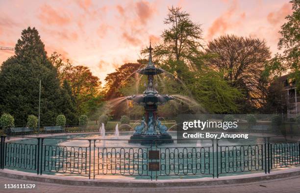 the peacock fountain during the sunset in christchurch botanic gardens, new zealand. - christchurch new zealand foto e immagini stock