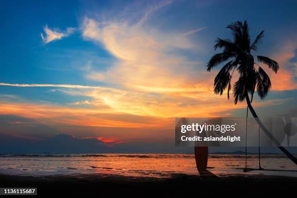 silhouette of surfboard and coconut palm tree on the beach at sunset time with colorful sky. - sunset sky stockfoto's en -beelden