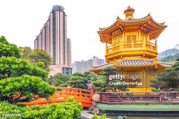 golden pavilion of nan lian temple with skyscraper housing estate building background, hong kong - convent stock pictures, royalty-free photos & images