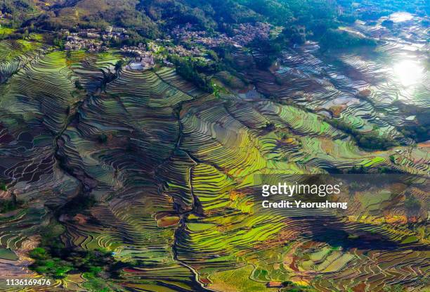 panoramic drone view of yuanyang rice terraces at yunnan province,china - yuanyang stockfoto's en -beelden