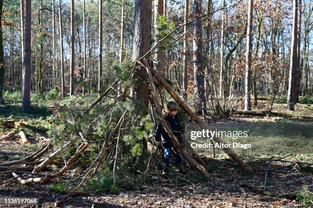 child inside a shack built with tree branches in the forest - cabane structure bâtie photos et images de collection