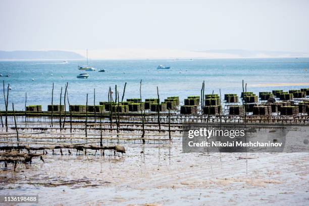 oysters farms of arcachon bay, cap ferret, france - aquitaine stock pictures, royalty-free photos & images