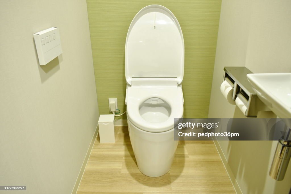 Modern electric toilet and control pad on wall in water closet