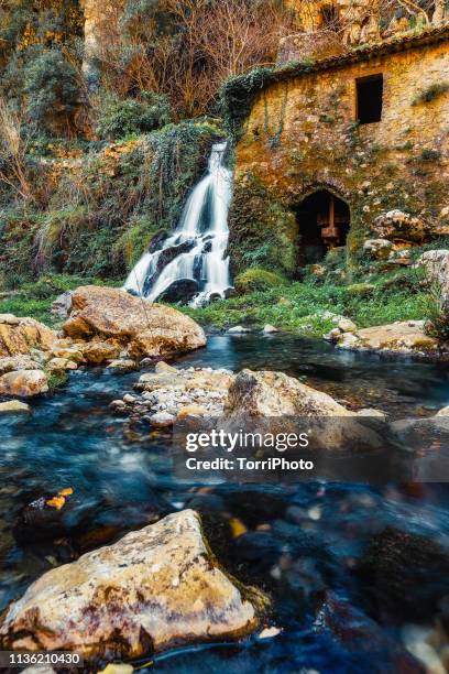 Mill Stream 28 Mill Stream Nature Reserve Stock Photos, High-Res Pictures, and ...