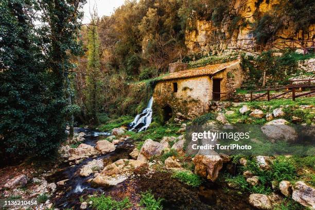 ancient mill with waterfall in forest - running water isolated stock pictures, royalty-free photos & images