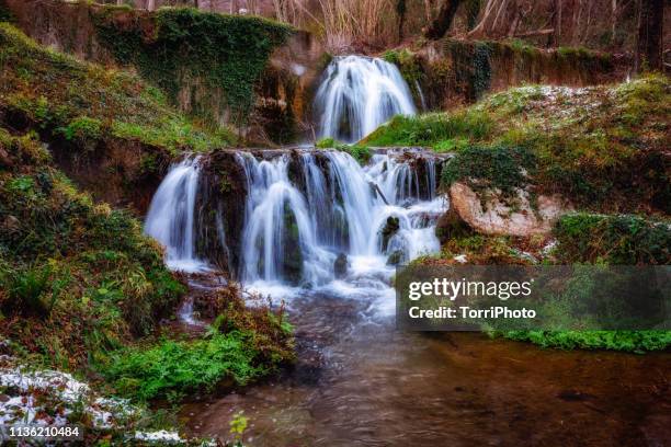 winter forest landscape with waterfall - basilikata stock-fotos und bilder