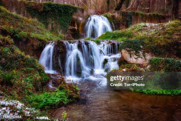 winter forest landscape with waterfall - região da basilicata imagens e fotografias de stock