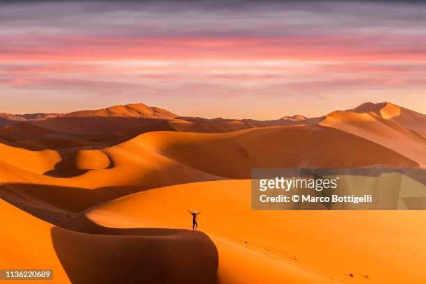 one ecstatic person on top of a sand dune in the desert - desert sunset stock pictures, royalty-free photos & images