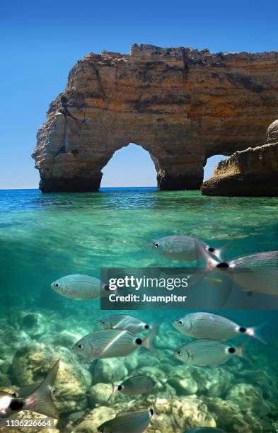 algarve bajo el agua (praia marinha) - underwater cliff stock pictures, royalty-free photos & images