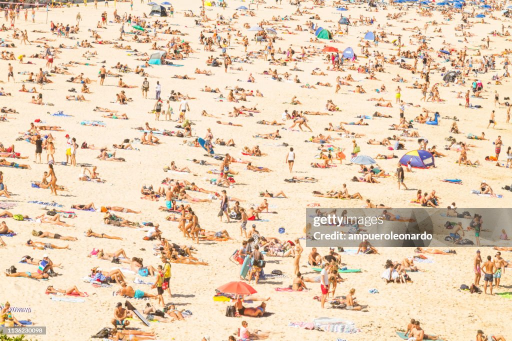 Aerial view of the Bondi Beach, Australia