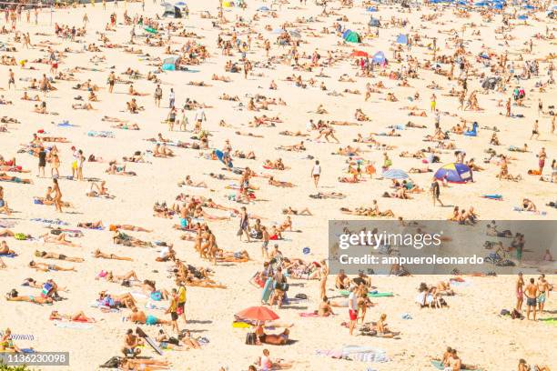 aerial view of the bondi beach, australia - beach umbrella stock pictures, royalty-free photos & images