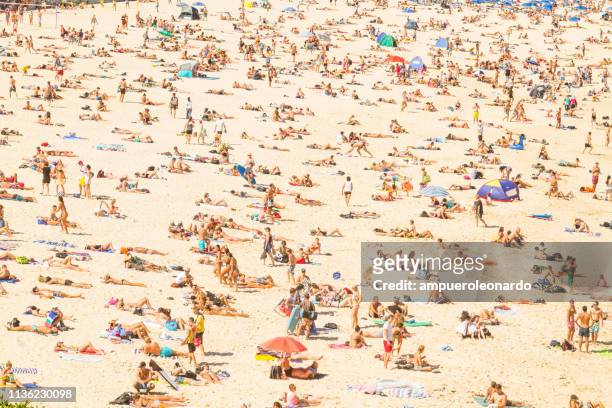 vista aérea da praia de bondi, austrália - tomando sol - fotografias e filmes do acervo
