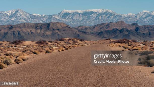 ash meadows road - spring mountains stock pictures, royalty-free photos & images