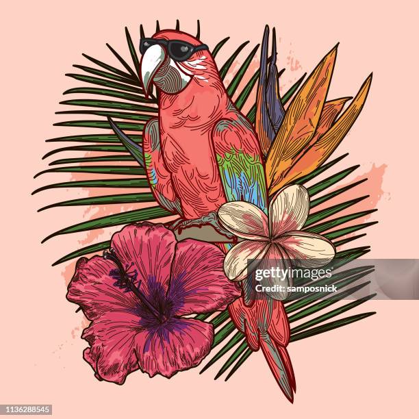 ende der 80er und anfang der 90er jahre im super rad tropical parrot mit sonnenbrille - parrot stock-grafiken, -clipart, -cartoons und -symbole