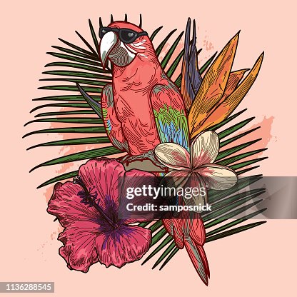 A Finales De Los 80 Y Principios De Los 90 Loro Tropical Super Rad Con ...