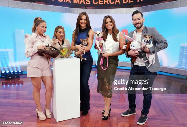 Stephanie Himonidis, Adamari Lopez, Erika Csizer, Rashel Diaz and Francisco Caceres are seen as Telemundo celebrates National Pet Day in support of...