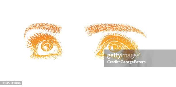 ilustrações de stock, clip art, desenhos animados e ícones de close-up of woman's eyes - head forward white background