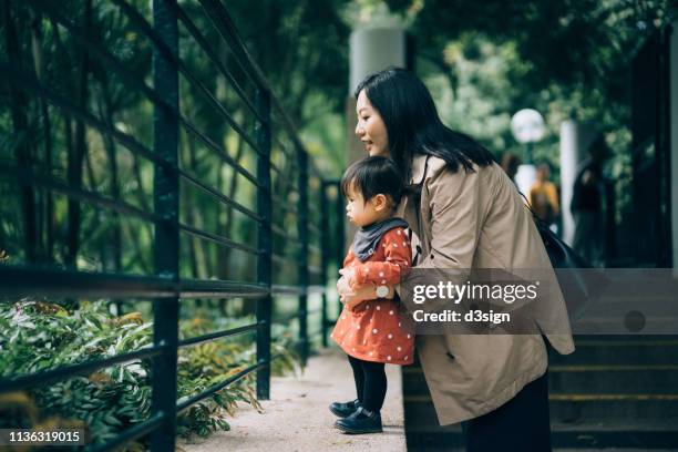 mother and daughter looking at the cute little animals outside the fence in park - familie zoo stock-fotos und bilder