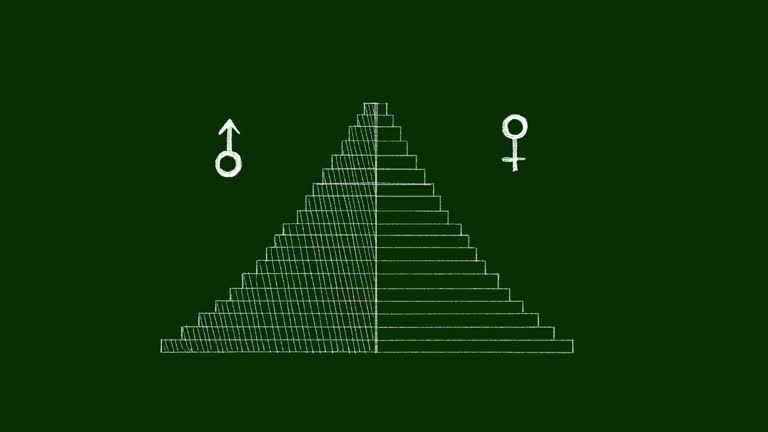 Pyramid Infographic Videos and HD Footage - Getty Images