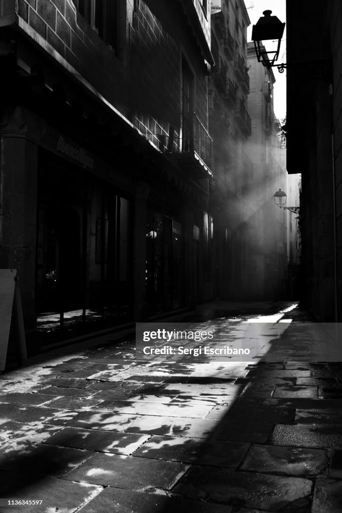 The Gothic Quarter of Barcelona