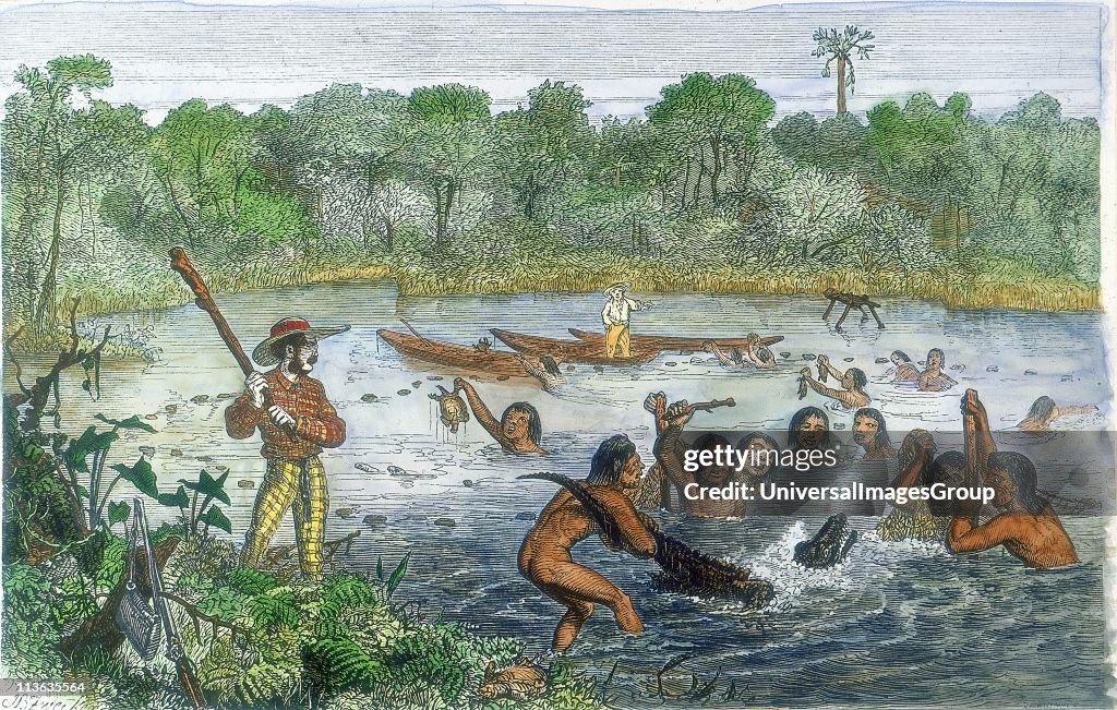 Henry Walter Bates (1825-92) English traveller and naturalist who, with Alfred Russell Wallace, explored the Amazon (1848-1859). Bates, with native help, capturing an alligator on the River Amazon. Natives also presenting specimens of turtles. Hand-colour...