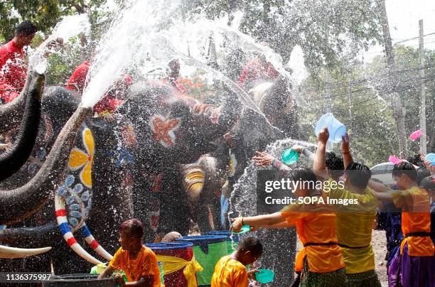 Elephants spray water on students during the celebration of the Songkran Water Festival in Ayutthaya province, north of Bangkok.