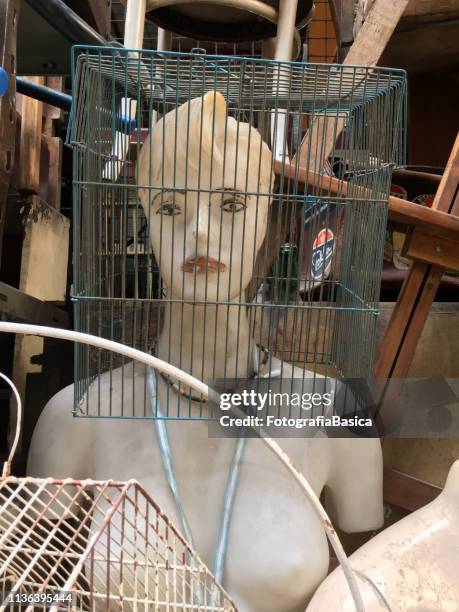 head inside birdcage - warehouse loft stock pictures, royalty-free photos & images