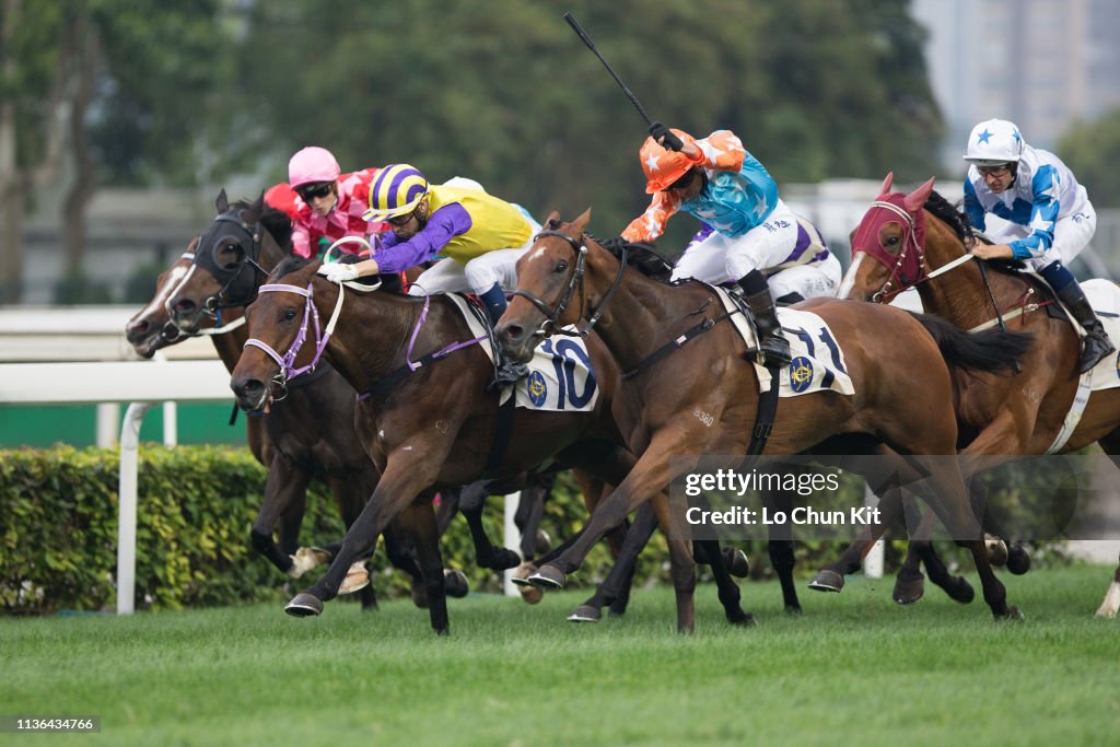 Horse Racing in Hong Kong - Sha Tin Racecourse