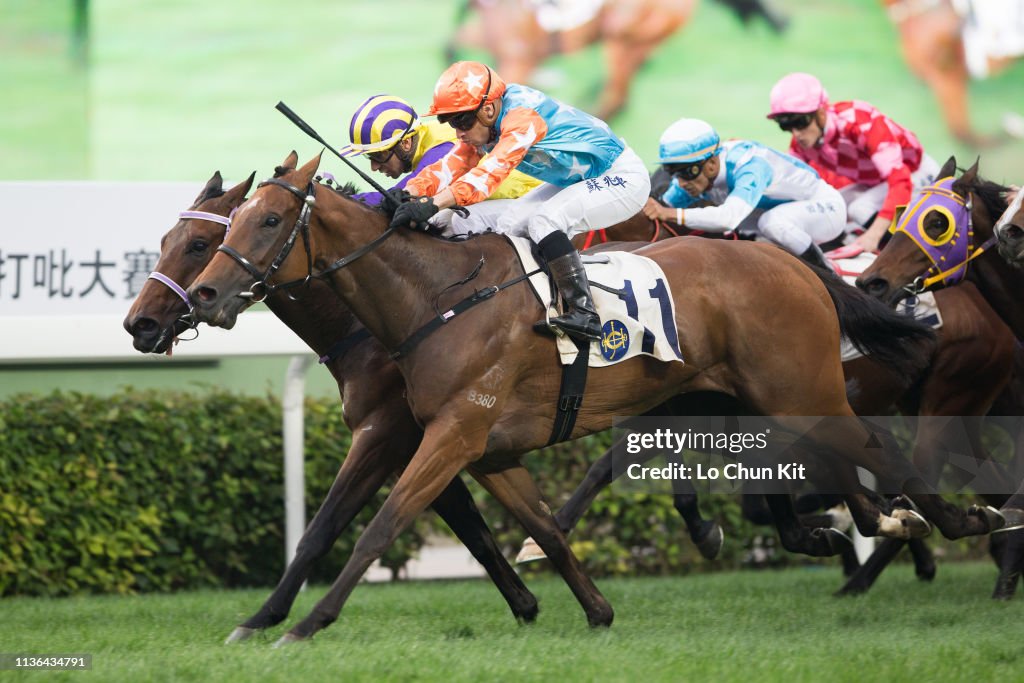 Horse Racing in Hong Kong - Sha Tin Racecourse