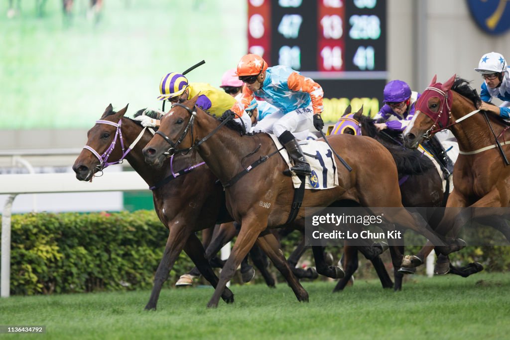 Horse Racing in Hong Kong - Sha Tin Racecourse