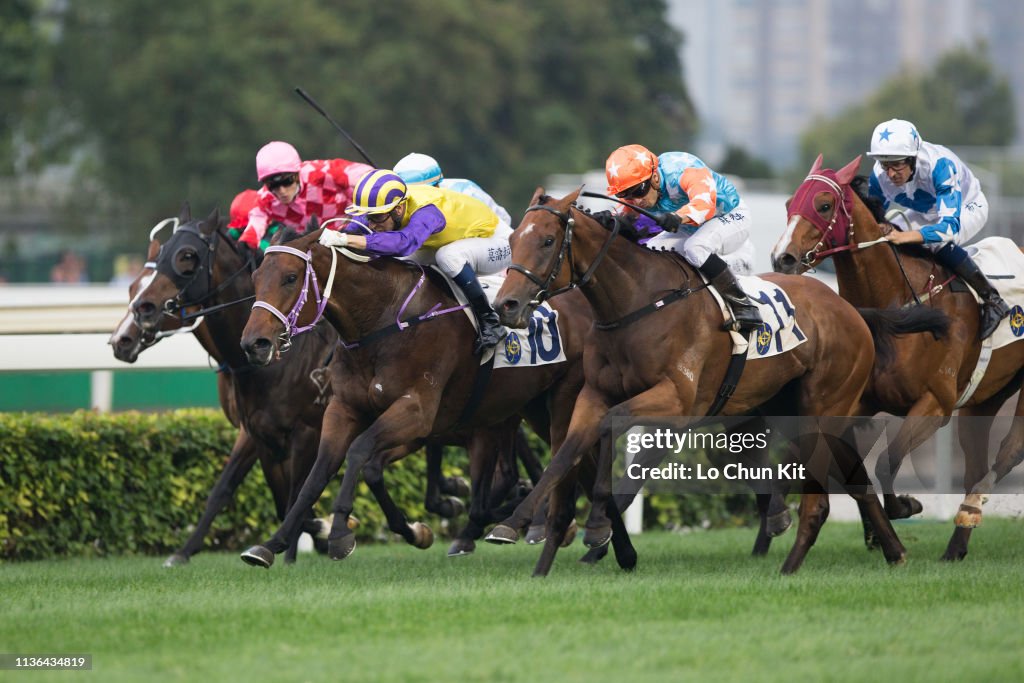 Horse Racing in Hong Kong - Sha Tin Racecourse