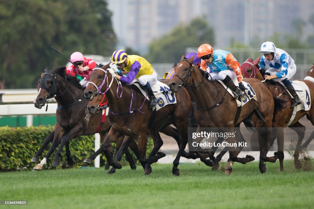 Horse Racing in Hong Kong - Sha Tin Racecourse