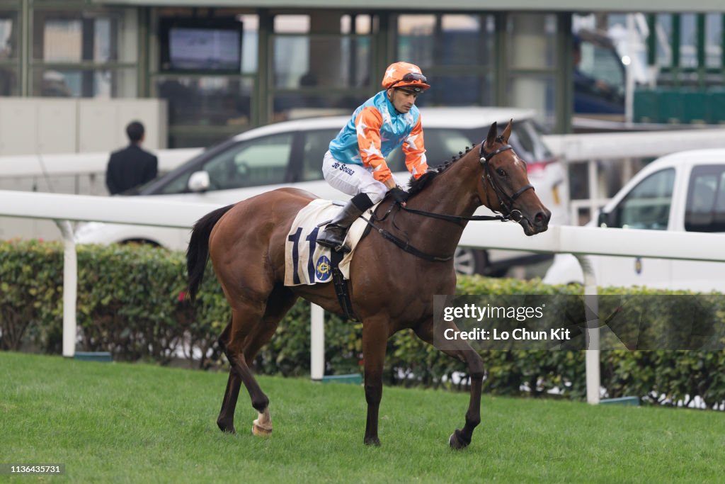 Horse Racing in Hong Kong - Sha Tin Racecourse