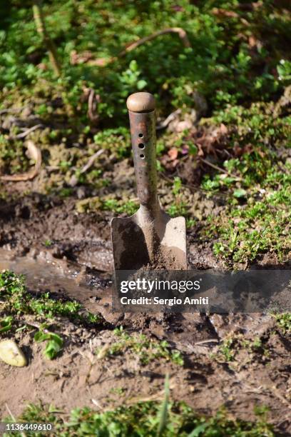 Digging Stick Photos and Premium High Res Pictures - Getty Images