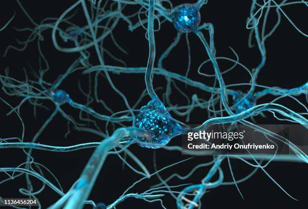 neuron system - human brain stockfoto's en -beelden