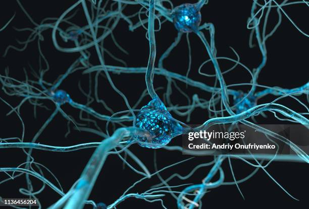 neuron system - célula humana - fotografias e filmes do acervo