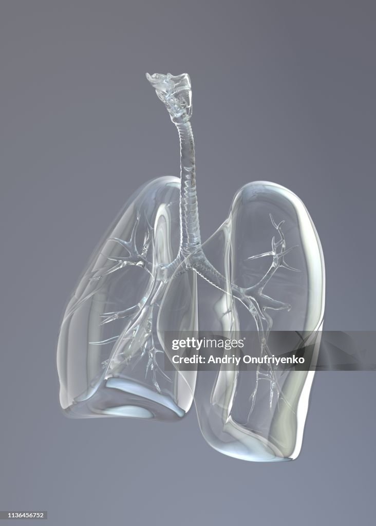 Glass lungs