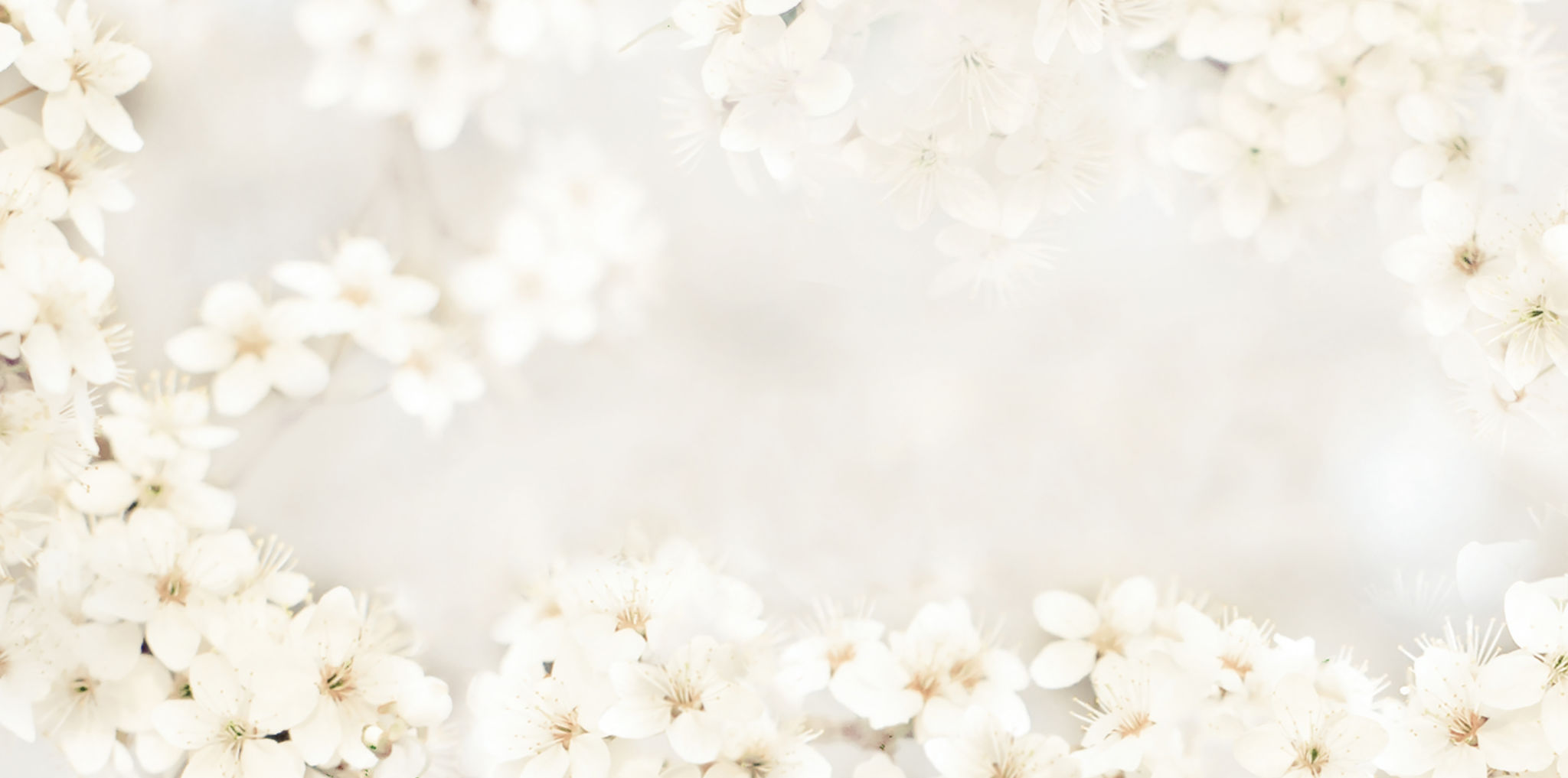 delicate flowers