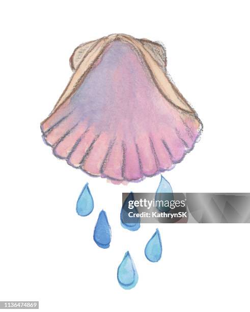 Baptism Graphics Shell Baptism Shell Photos and Premium High Res Pictures - Getty Images