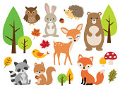 Cute Woodland Forest Animal Vector Illustration Set