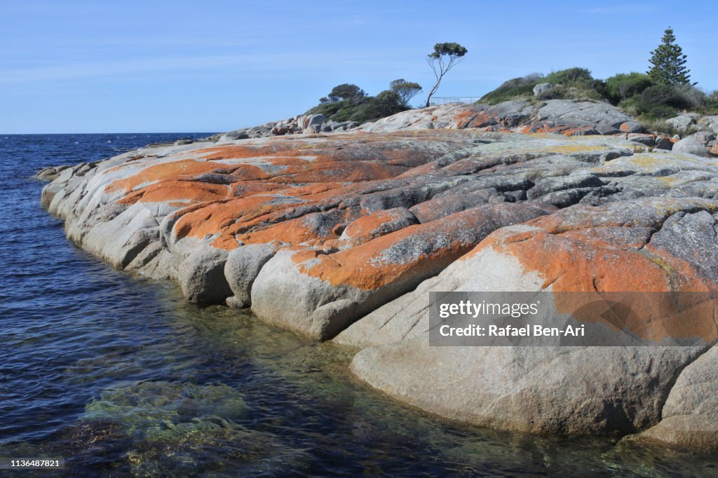 Landscape of Bay of Fires Tasmania Australia