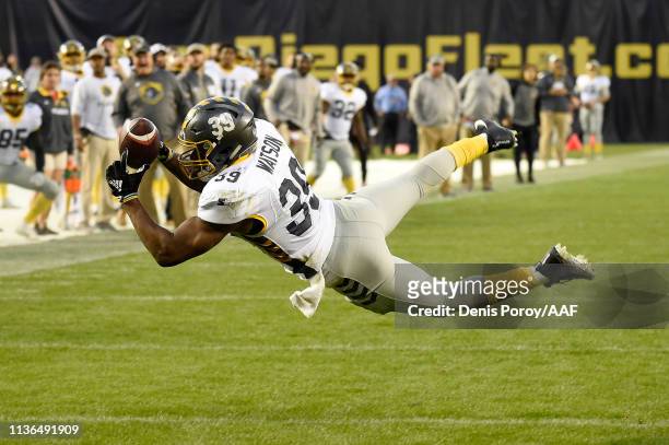 Terrell Watson of the San Diego Fleet catches a touchdown pass during the third quarter against the Birmingham Iron in an Alliance of American...