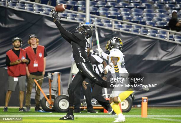 Damian Washington of the Birmingham Iron catches a touchdown pass during the fourth quarter against the San Diego Fleet in an Alliance of American...