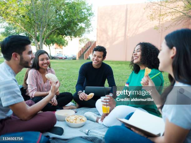 students meeting outside - university student picnic stock pictures, royalty-free photos & images