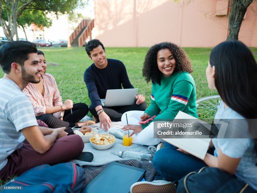 College study group having a picnic