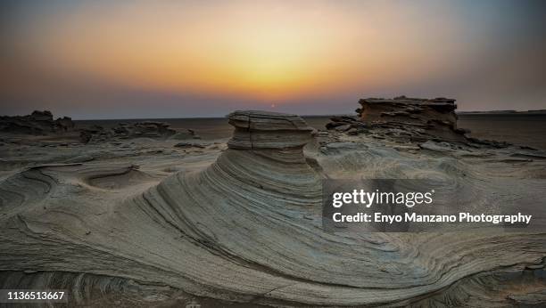 swirly fossil rock - arabian resto foto e immagini stock