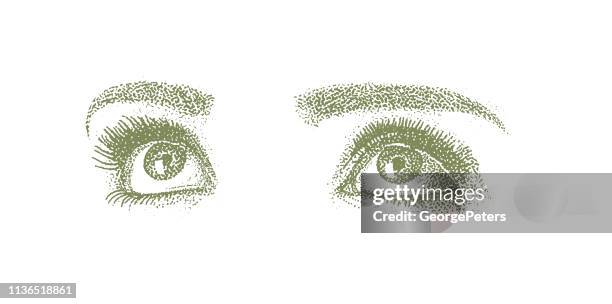 close-up of woman's eyes - head forward white background stock illustrations